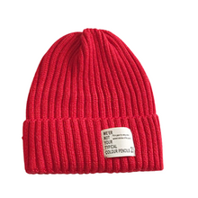 Load image into Gallery viewer, Ribbed Beanie
